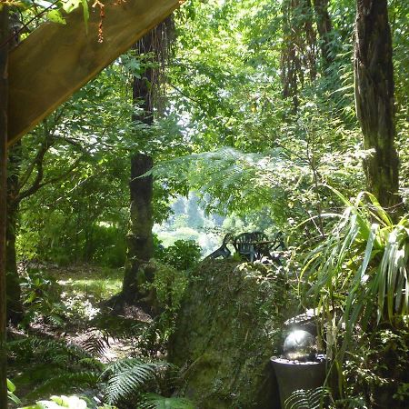 Bed and Breakfast Mount Tutu Eco-Sanctuary Ohauiti Exteriér fotografie